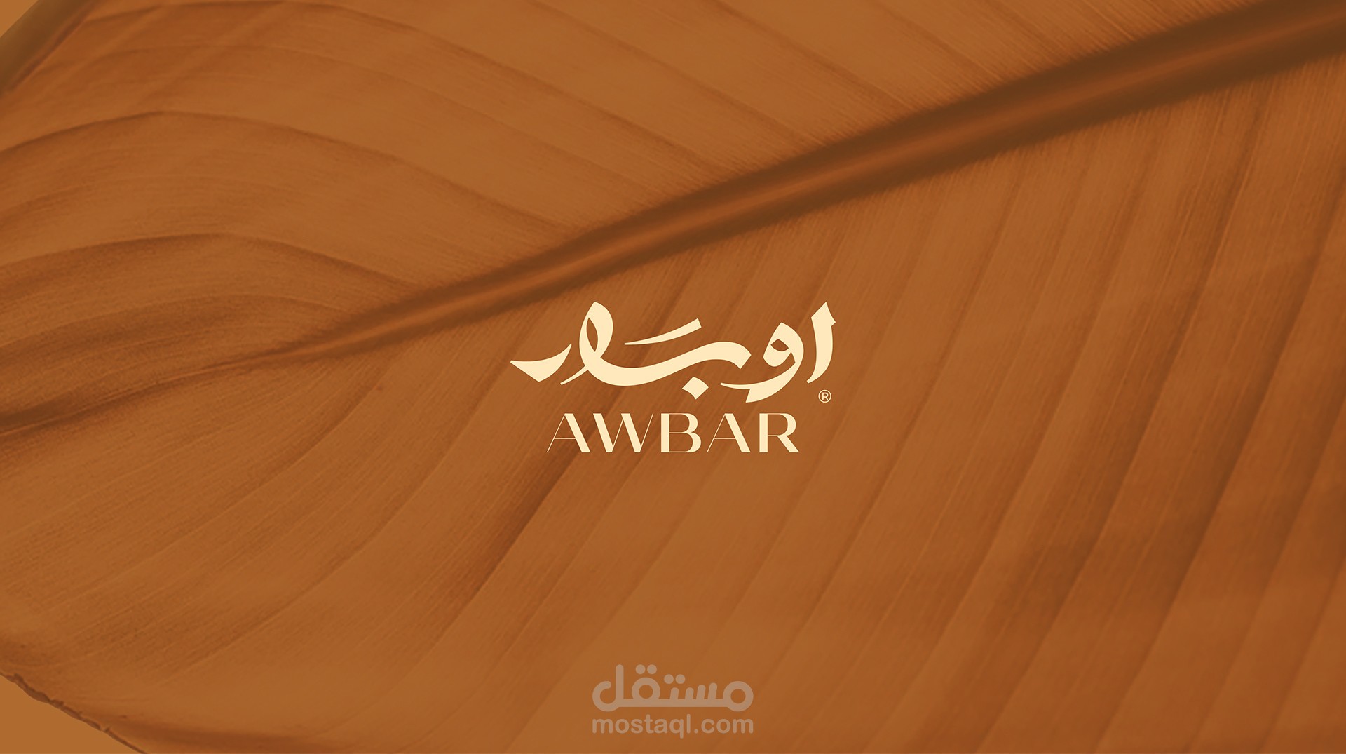 هوية بصرية كاملة
