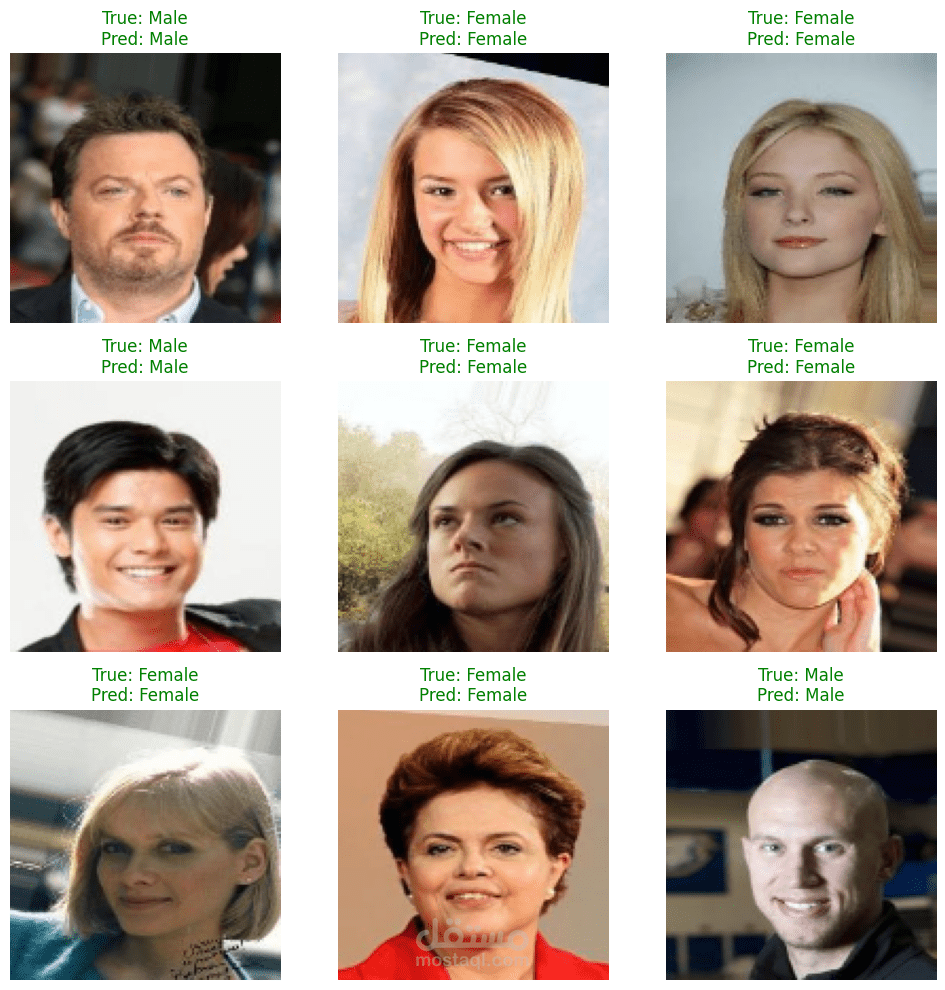 تصنيف الجنس من الصور | CNN Gender Classification