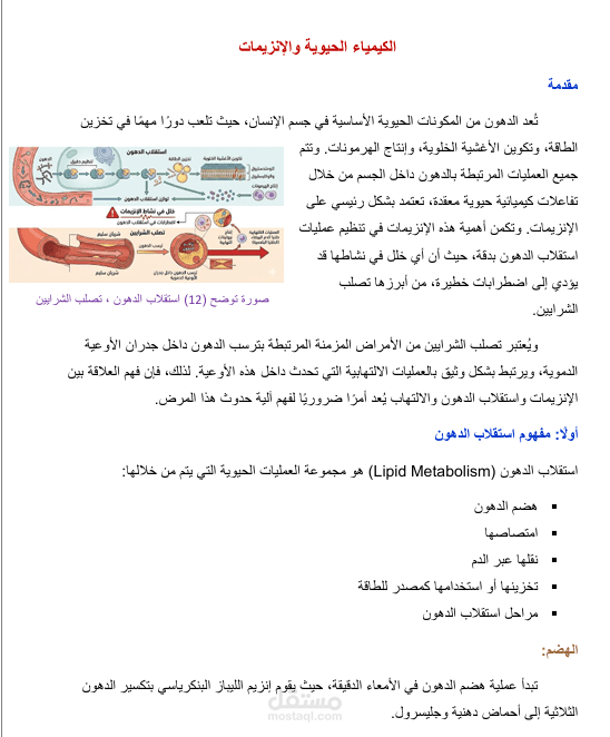 الكيمياء الحيوية والانزيمات