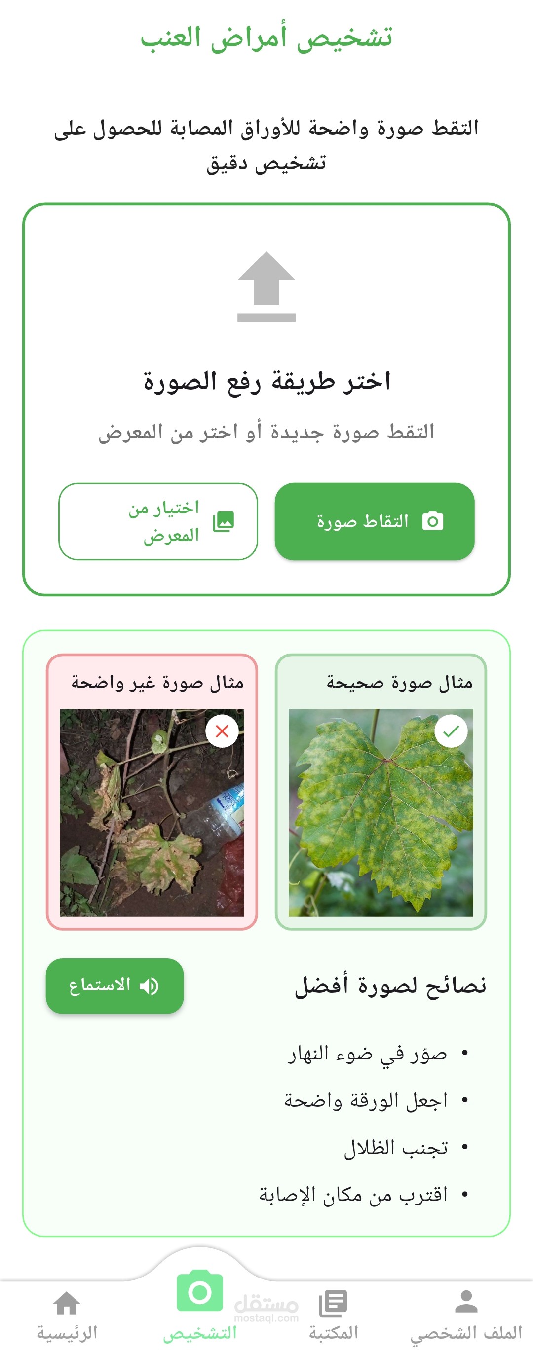 نظام ذكي لاكتشاف أمراض العنب باستخدام الذكاء الاصطناعي