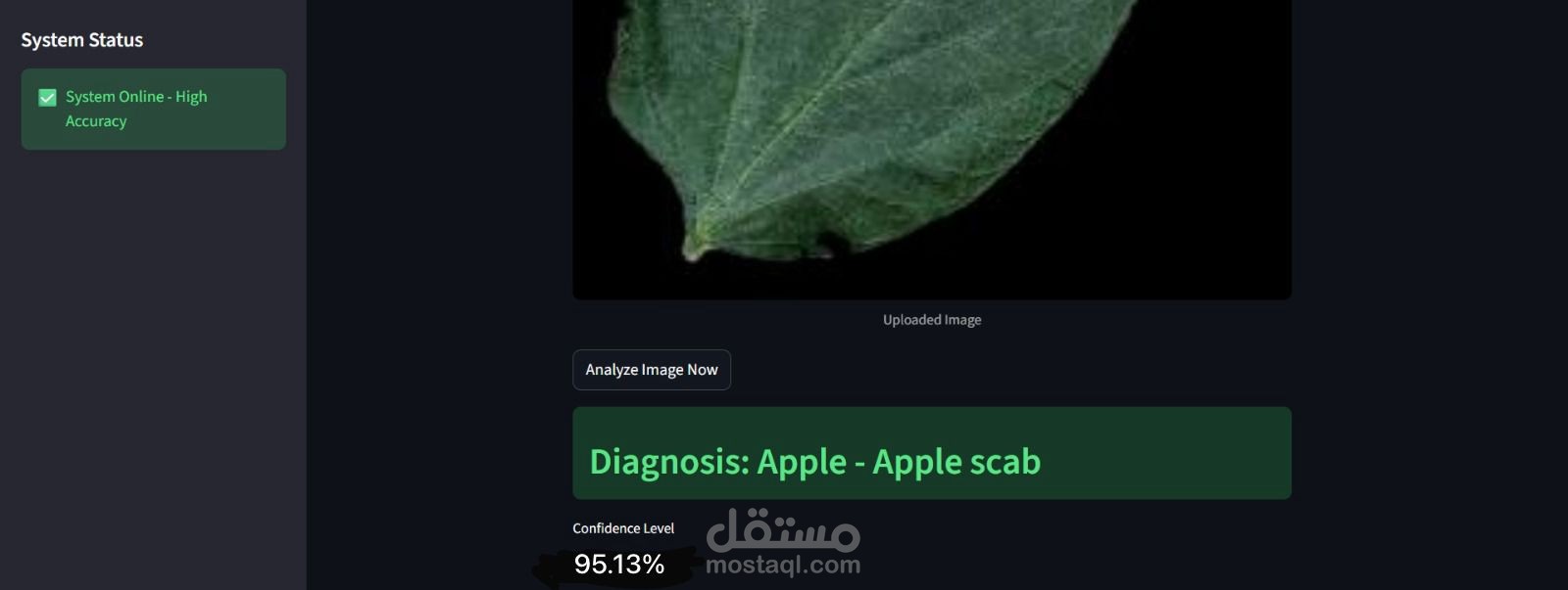 النظام الذكي لتشخيص أمراض النباتات (PlantVillage)