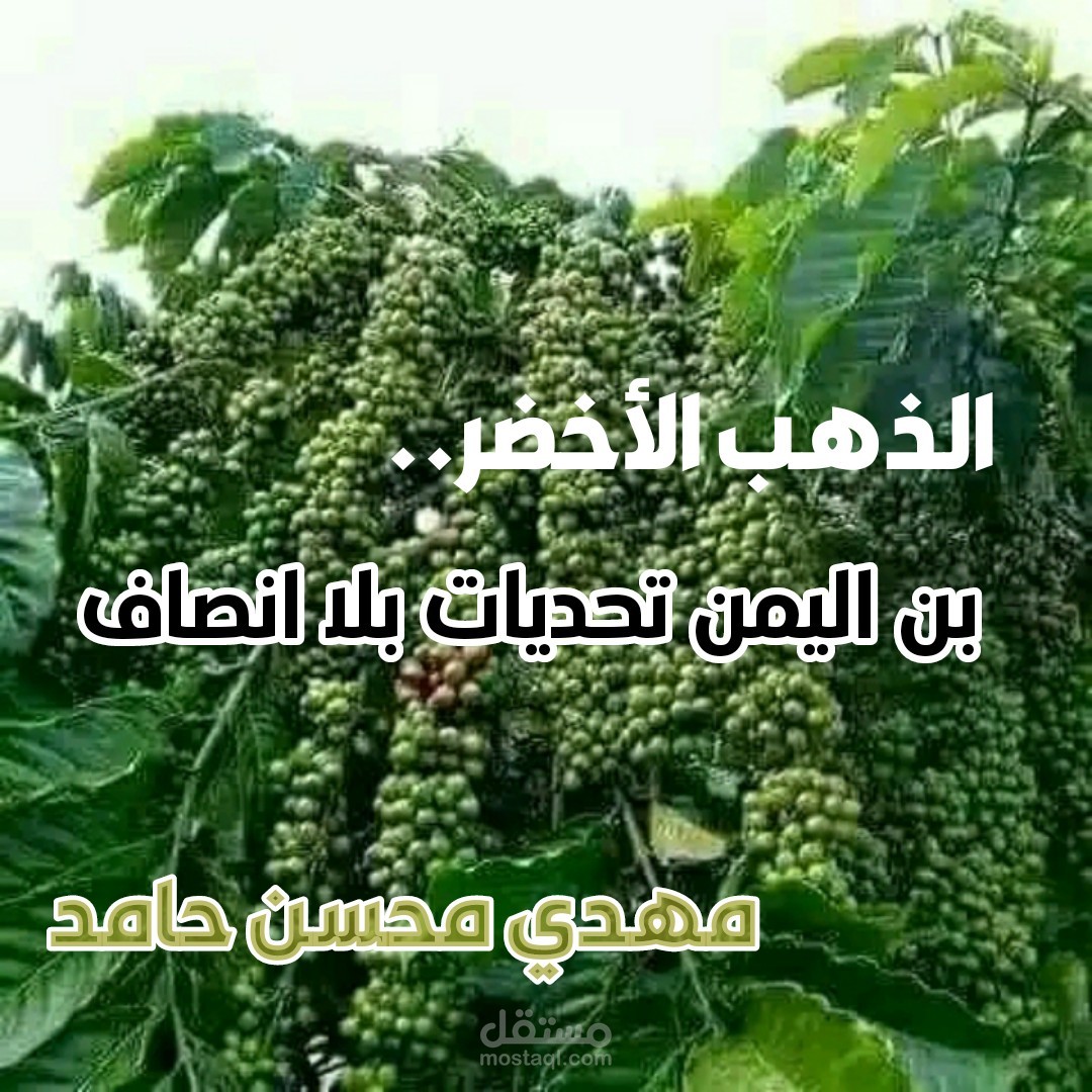 الذهب الأخضر.. البن اليمني وتحديات بلا إنصاف
