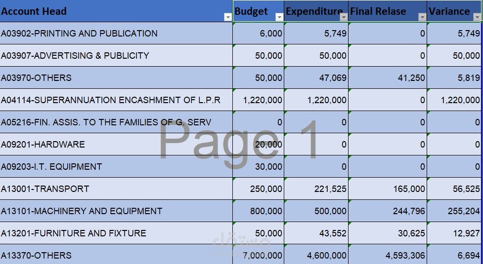 I cleaned monthly budget and actual expenditure data in excel for my client