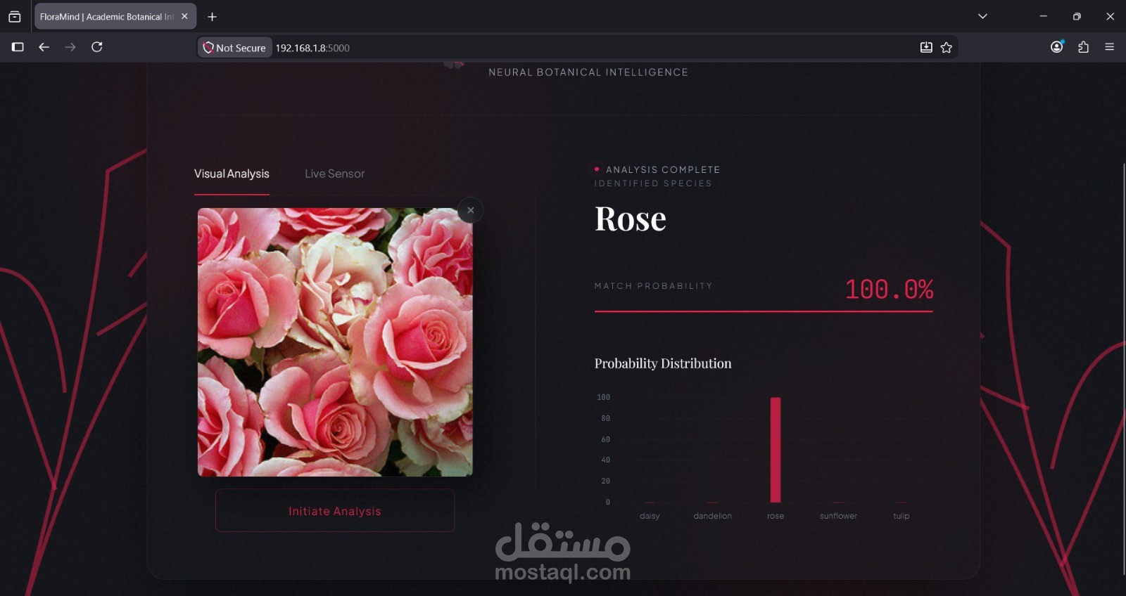 تطوير موقع FloraMind لتصنيف وتحليل النباتات بالذكاء الاصطناعي