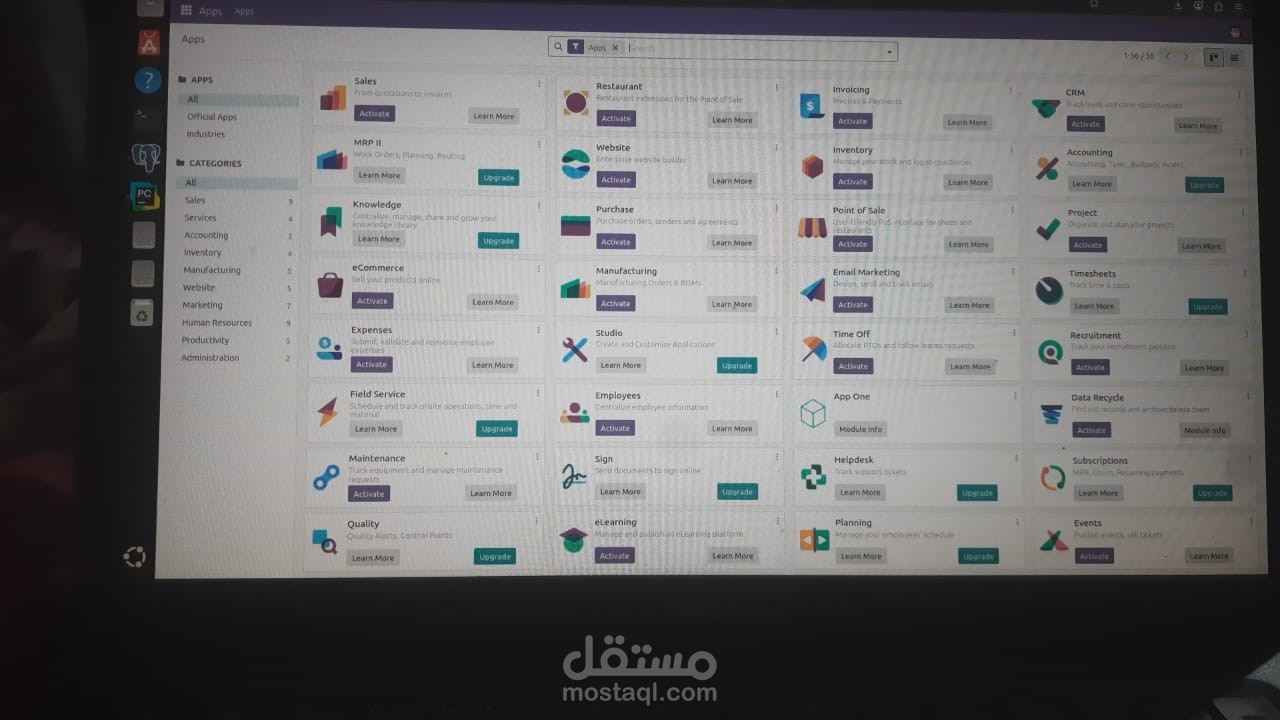 Odoo Developer