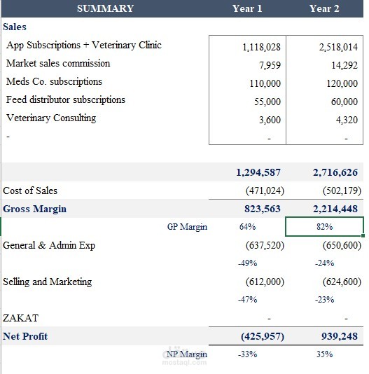 Financial Feasibility Study & Project Valuation Excel Model Maqane App