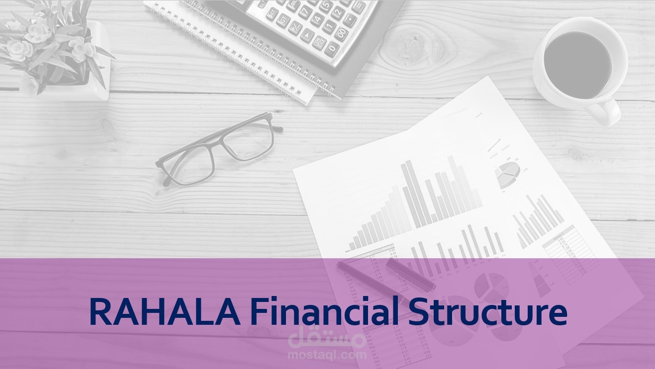 Financial Governance Framework & Accounting Team Structure