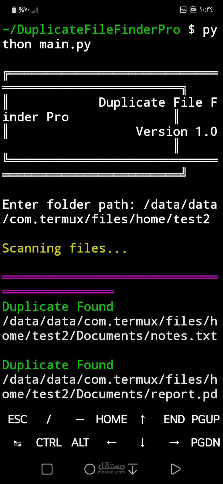Duplicate File Finder Pro | أداة احترافية لاكتشاف الملفات المكررة باستخدام Python