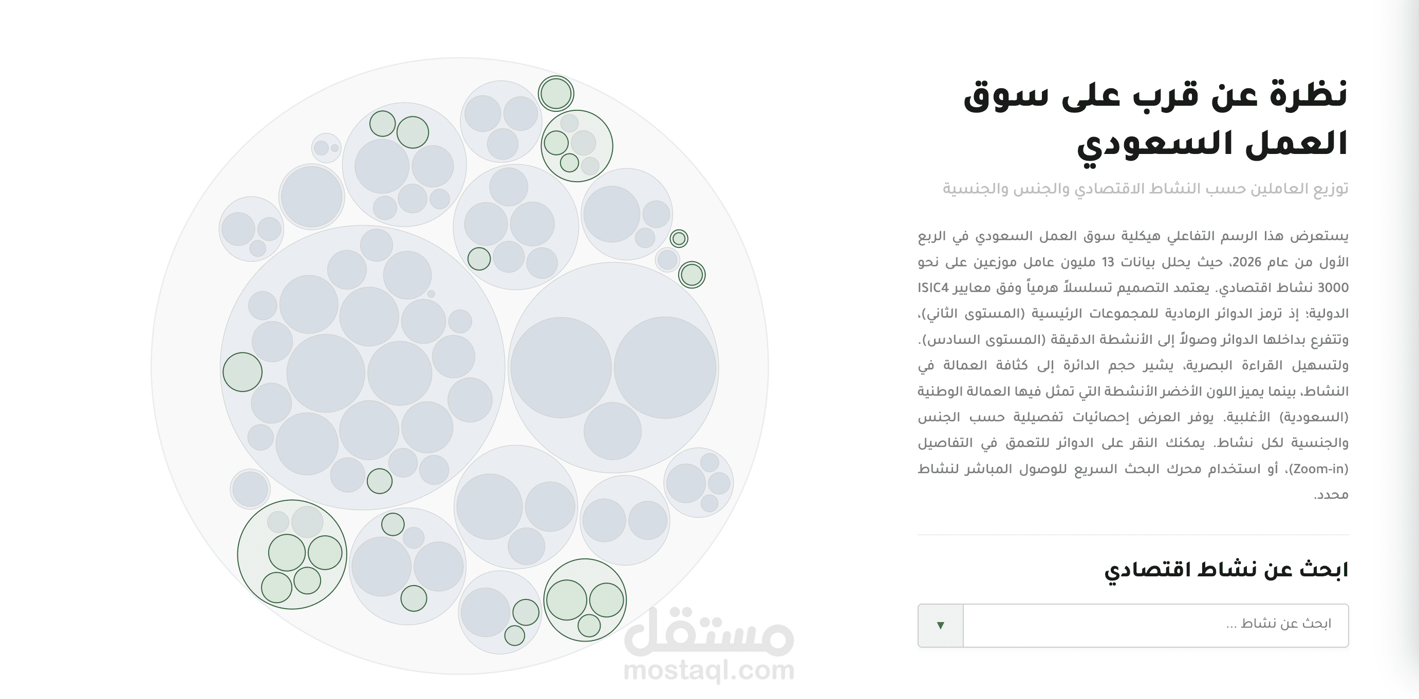 Data visualization for saudi labor market | تصوير بيانات سوق العمل السعودي