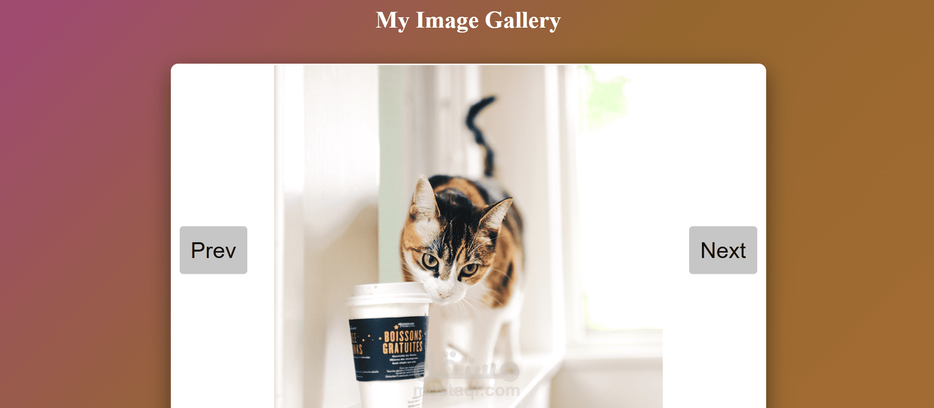 Gallery
