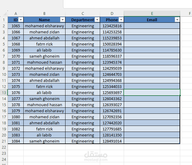 PDF to Excel Data Entry and Conversion