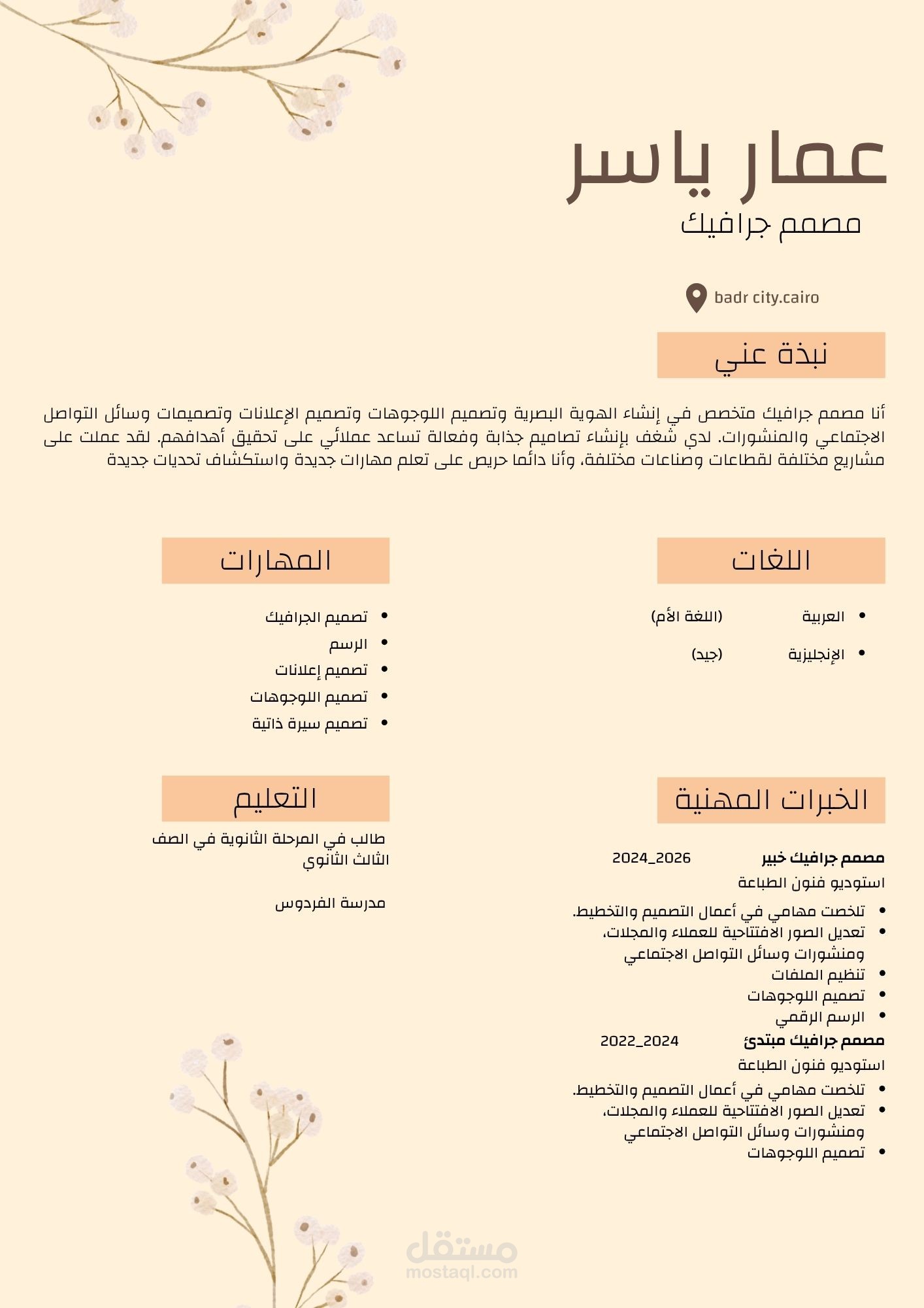 تصميم سيرة ذاتية (cv) إحترافية ومنظمة لمصمم جرافيك