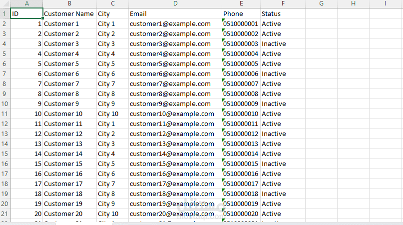 تنظيم وإدارة بيانات العملاء باستخدام Microsoft Excel