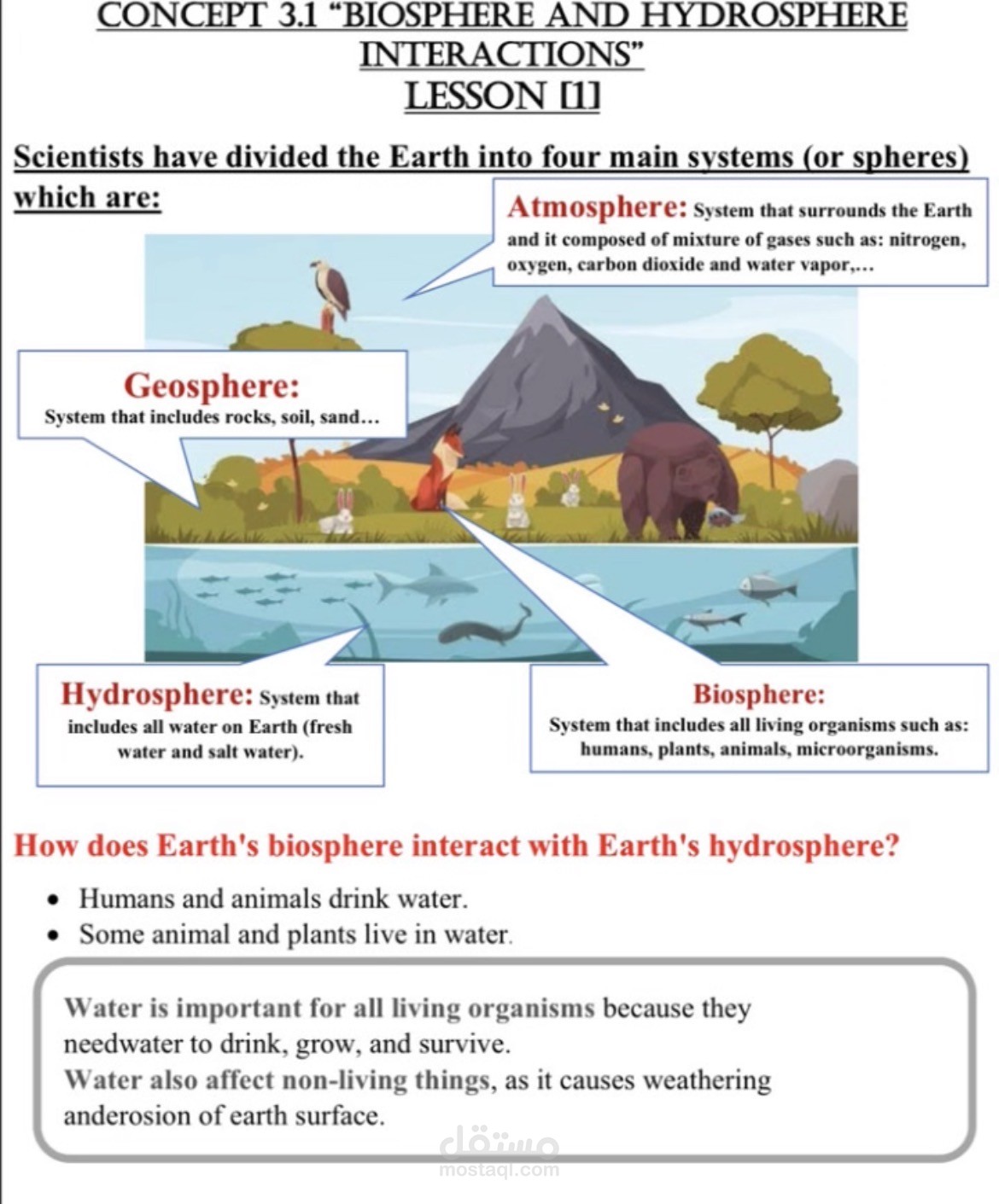 The hydrosphere and biosphere interactions