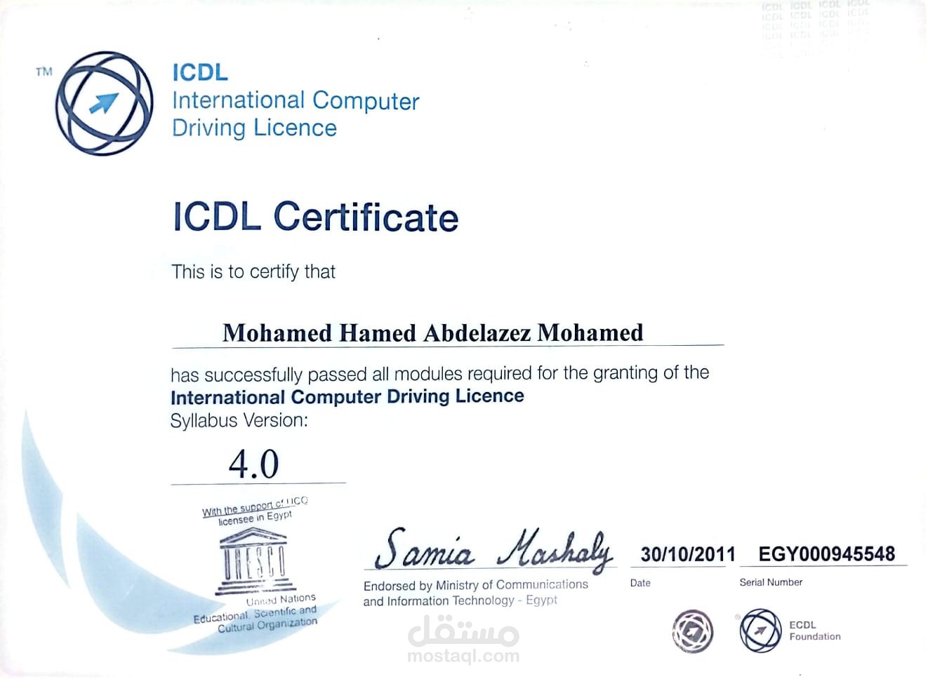 إدارة البيانات والمهارات التقنية
