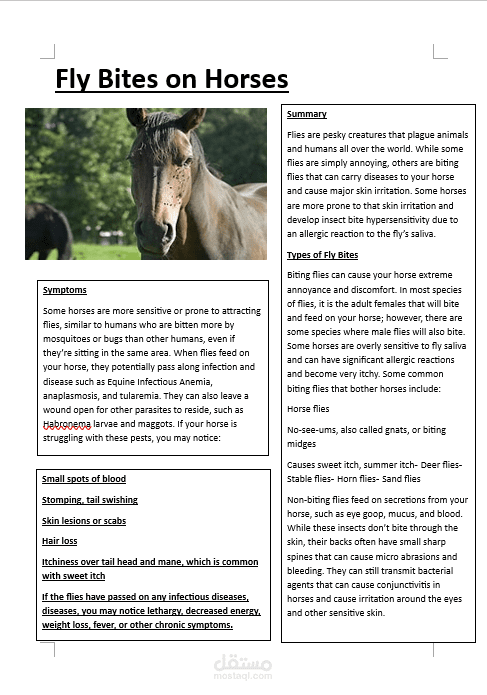 تنسيق محتوى طبي بيطري احترافي - دليل "Fly Bites on Horses"