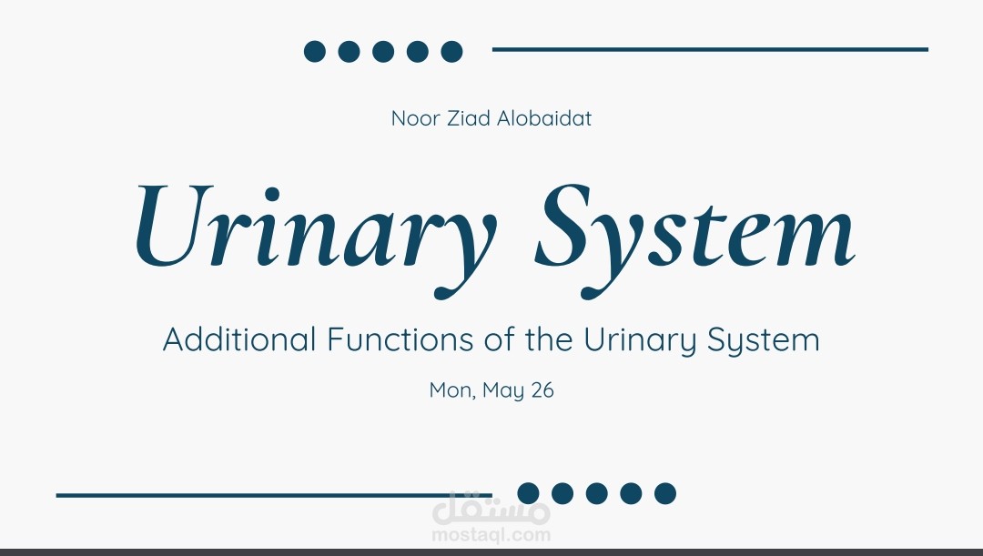 Urinary System: Additional Functions – Nursing Academic Presentation