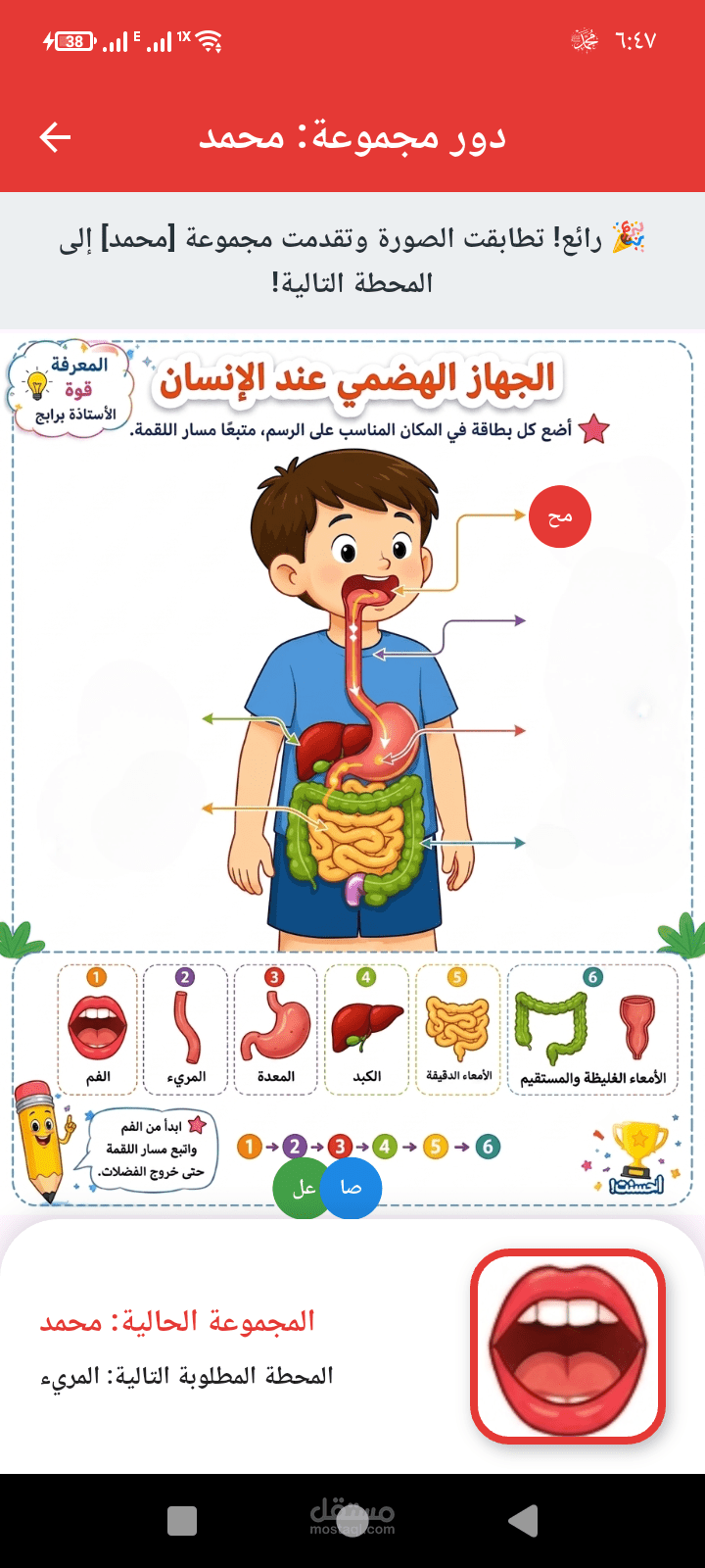لعبة اعظاء الجسم
