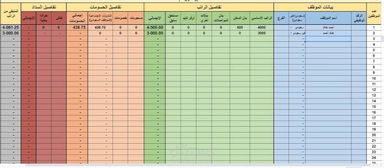 إعداد وتدقيق مسيرات الرواتب والأجور الشهرية (Payroll)