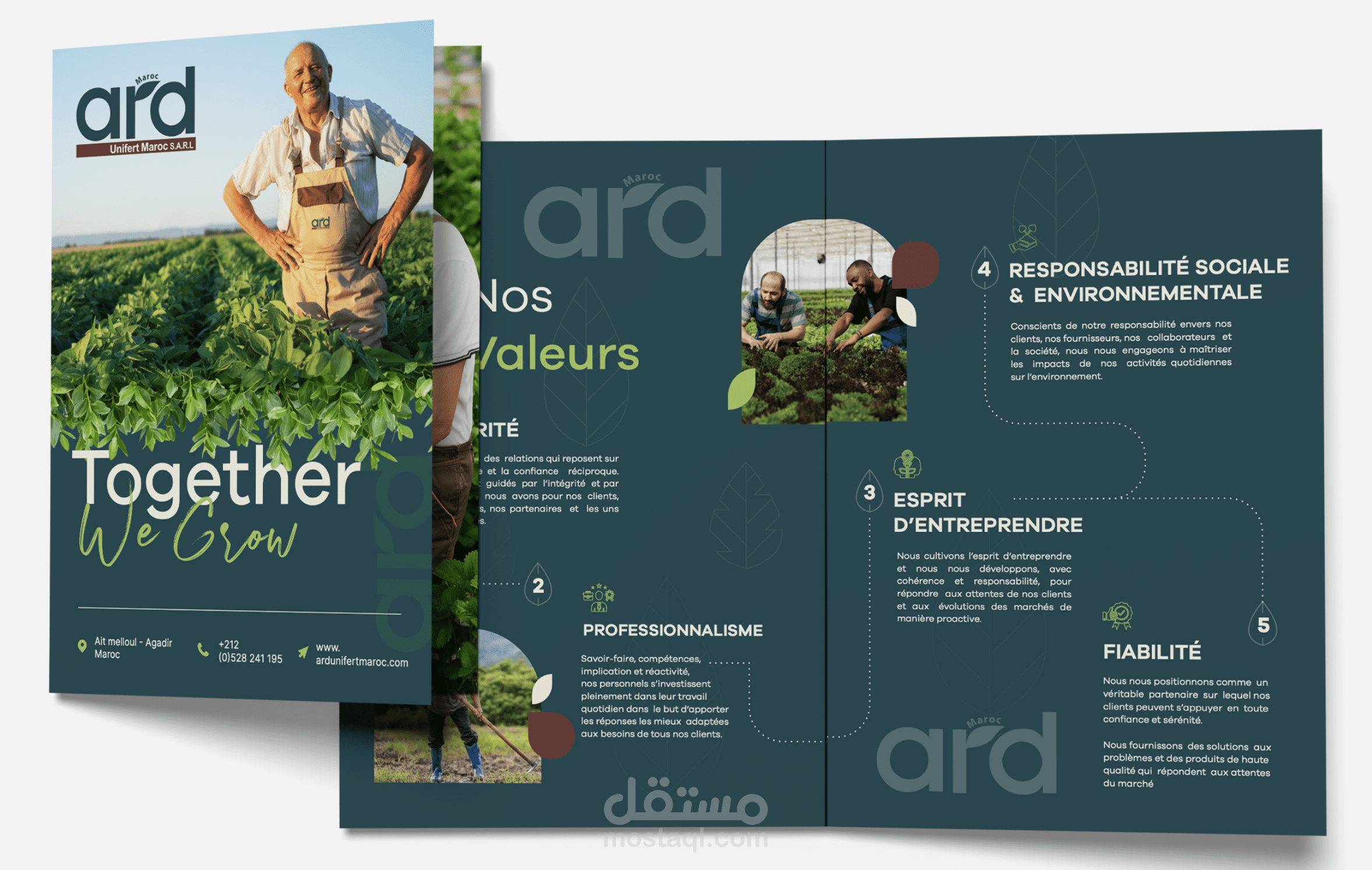 ARD CATALOGUE