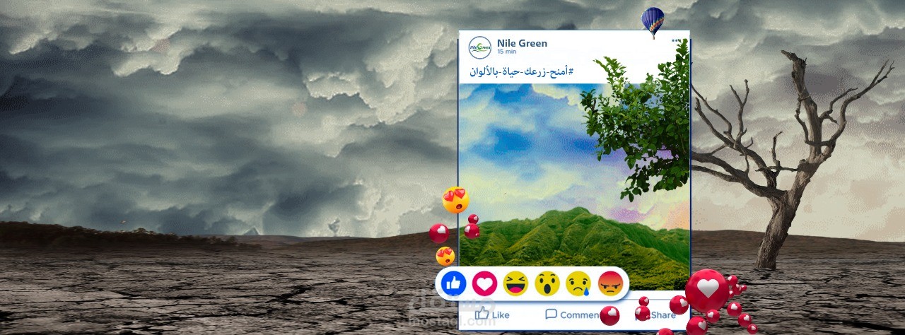 Nile green company background