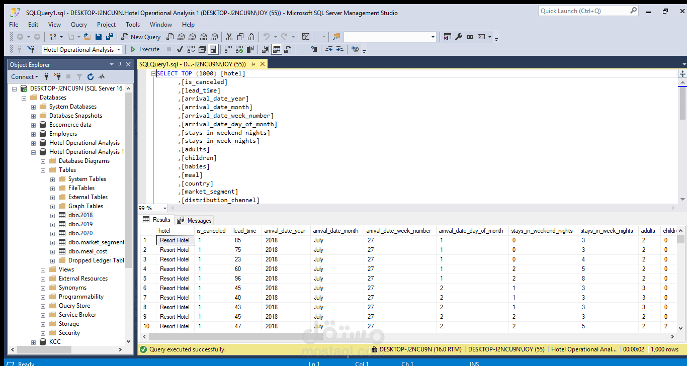 SQL Database Analysis Project