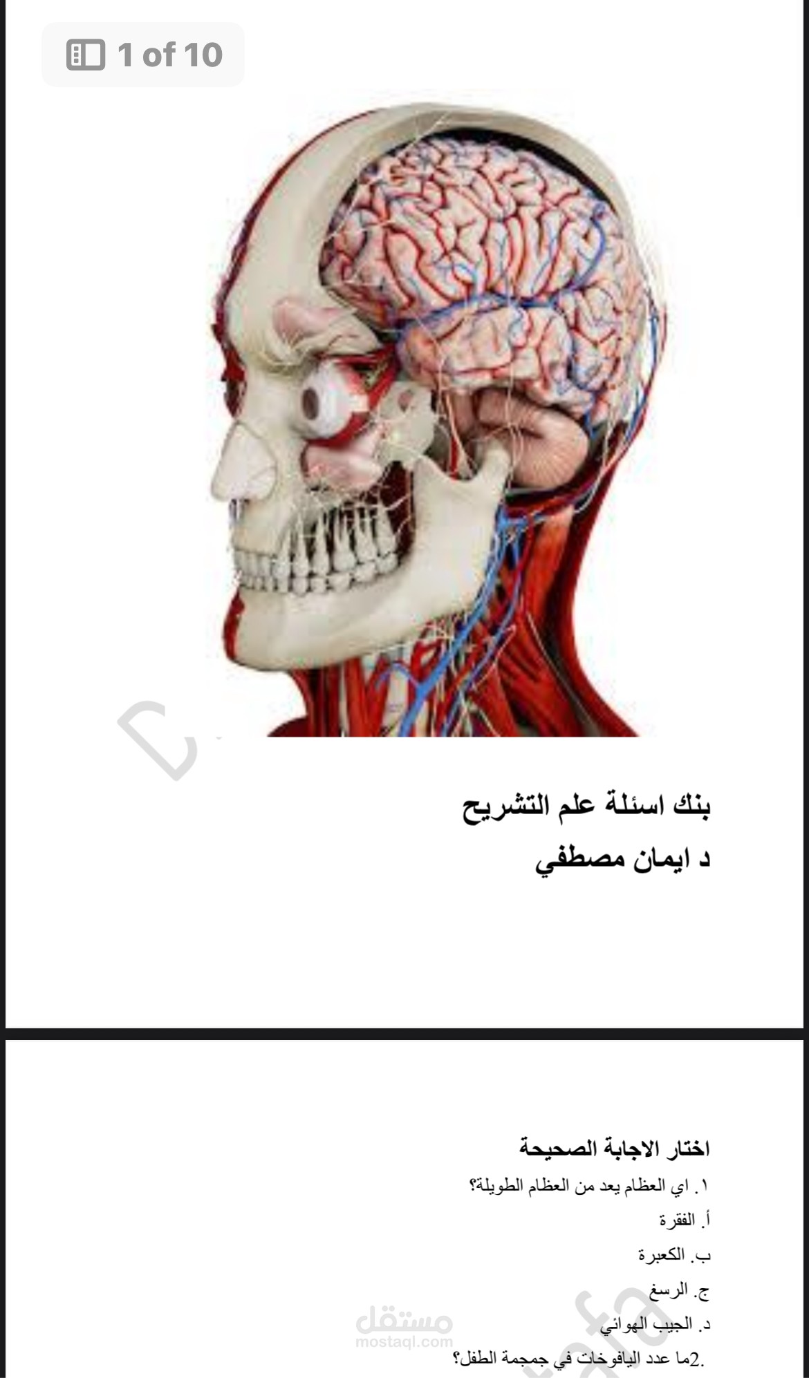باور بوينت علم التشريح