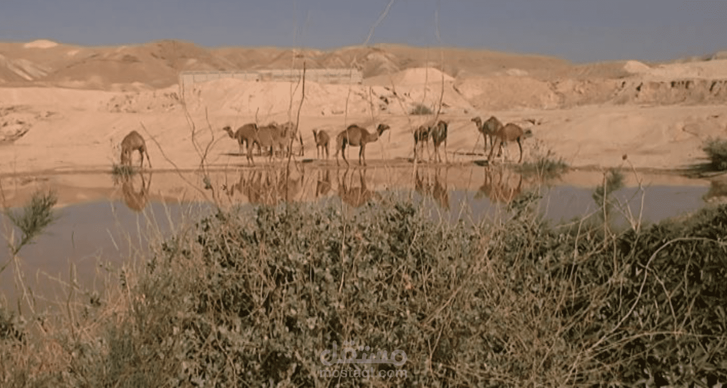 الاستغفار من مرد إلى قمران