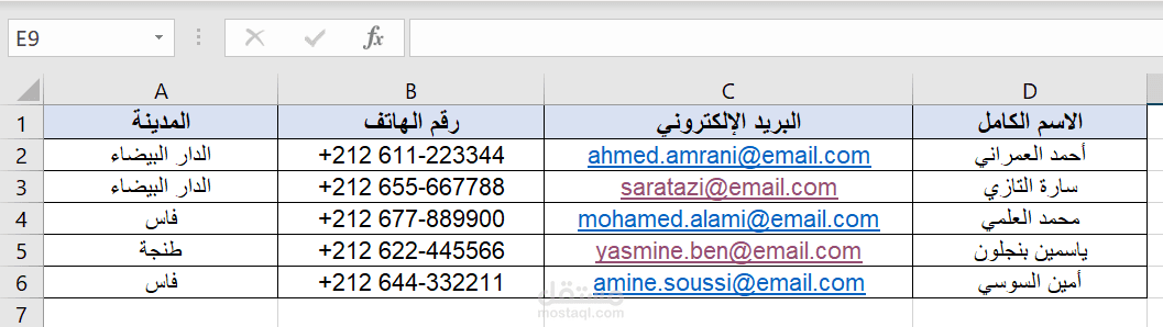 نموذج تنظيم وتنسيق جداول البيانات على Excel بدقة احترافية.