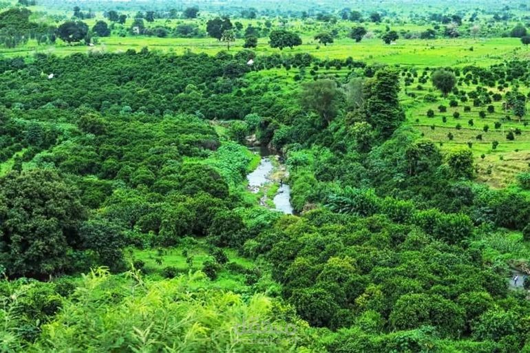 جبل مرة