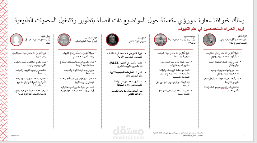ترجمة سير ذاتية للخبراء