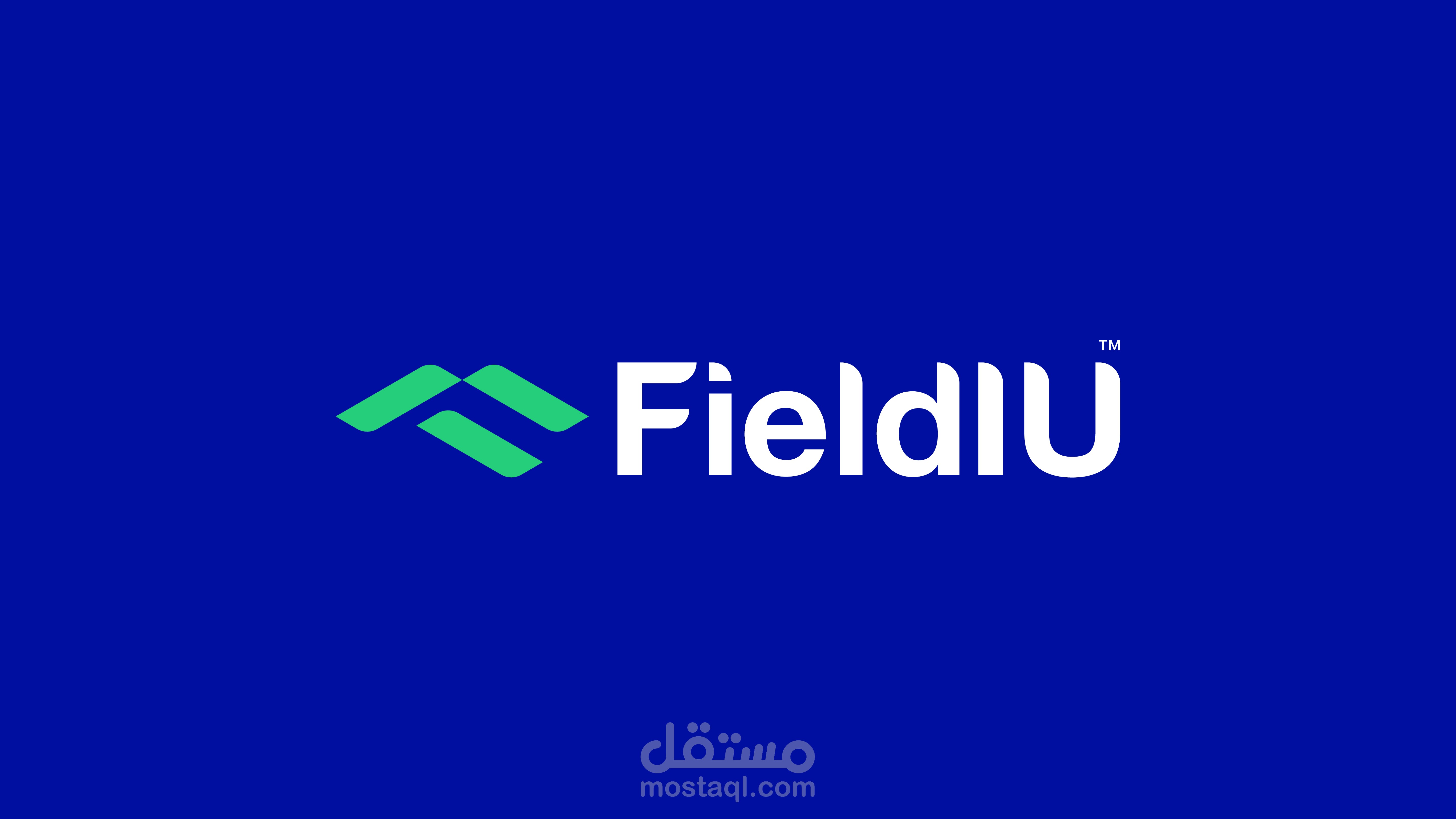 FIELDIU Brand guideline