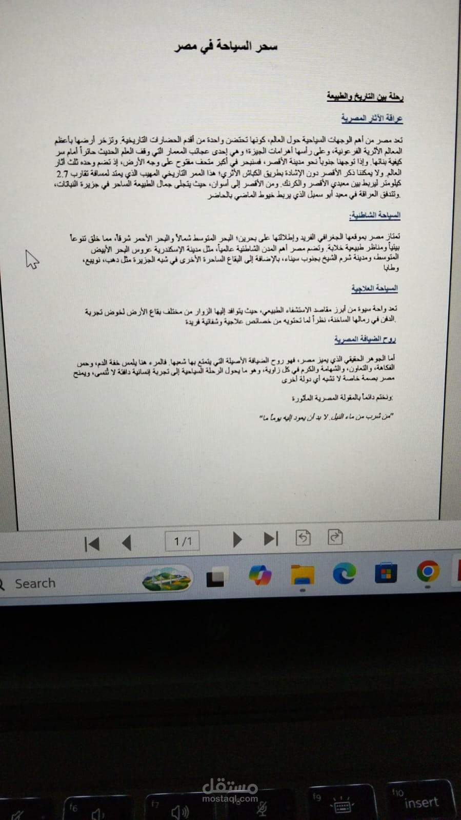 كتابة وصف منتجات احترافى لمتجر الكترونى متوافق مع السيو