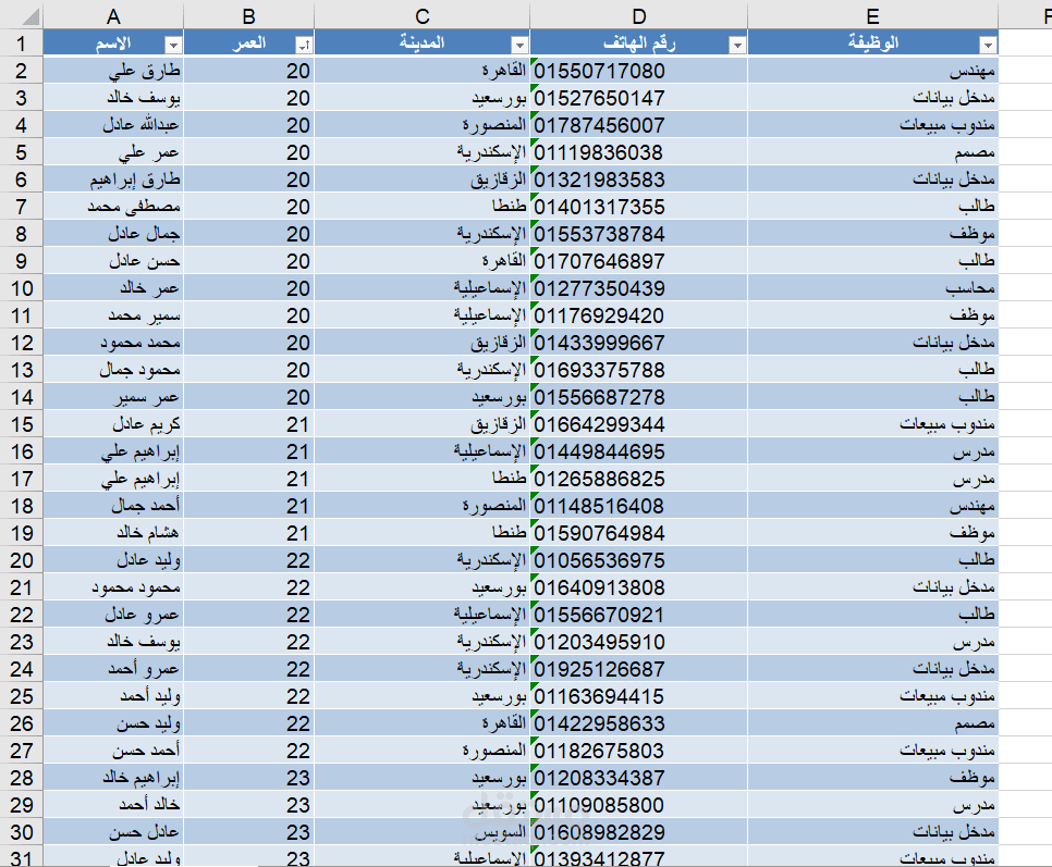 تنظيم وتحليل بيانات أكثر من200 سجل باستخدام Excel