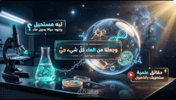 صناعة حلقات يوتيوب