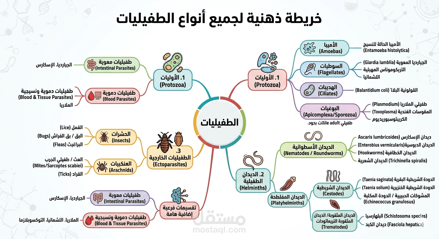 خريطة ذهنية تعليمية لتصنيف الطفيليات الطبية.
