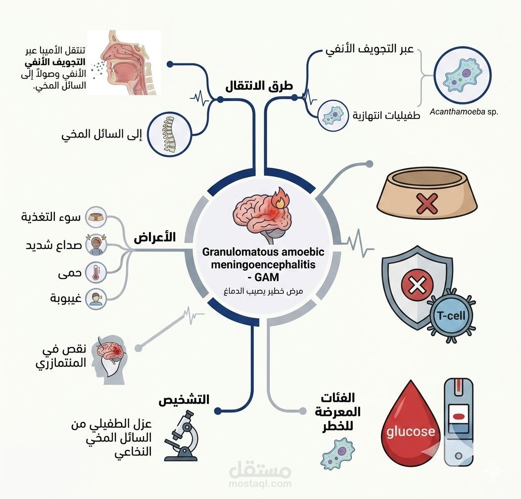 خريطة ذهنية طبية لمرض التهاب السحايا والدماغ الأميبي الحبيبي (GAM).