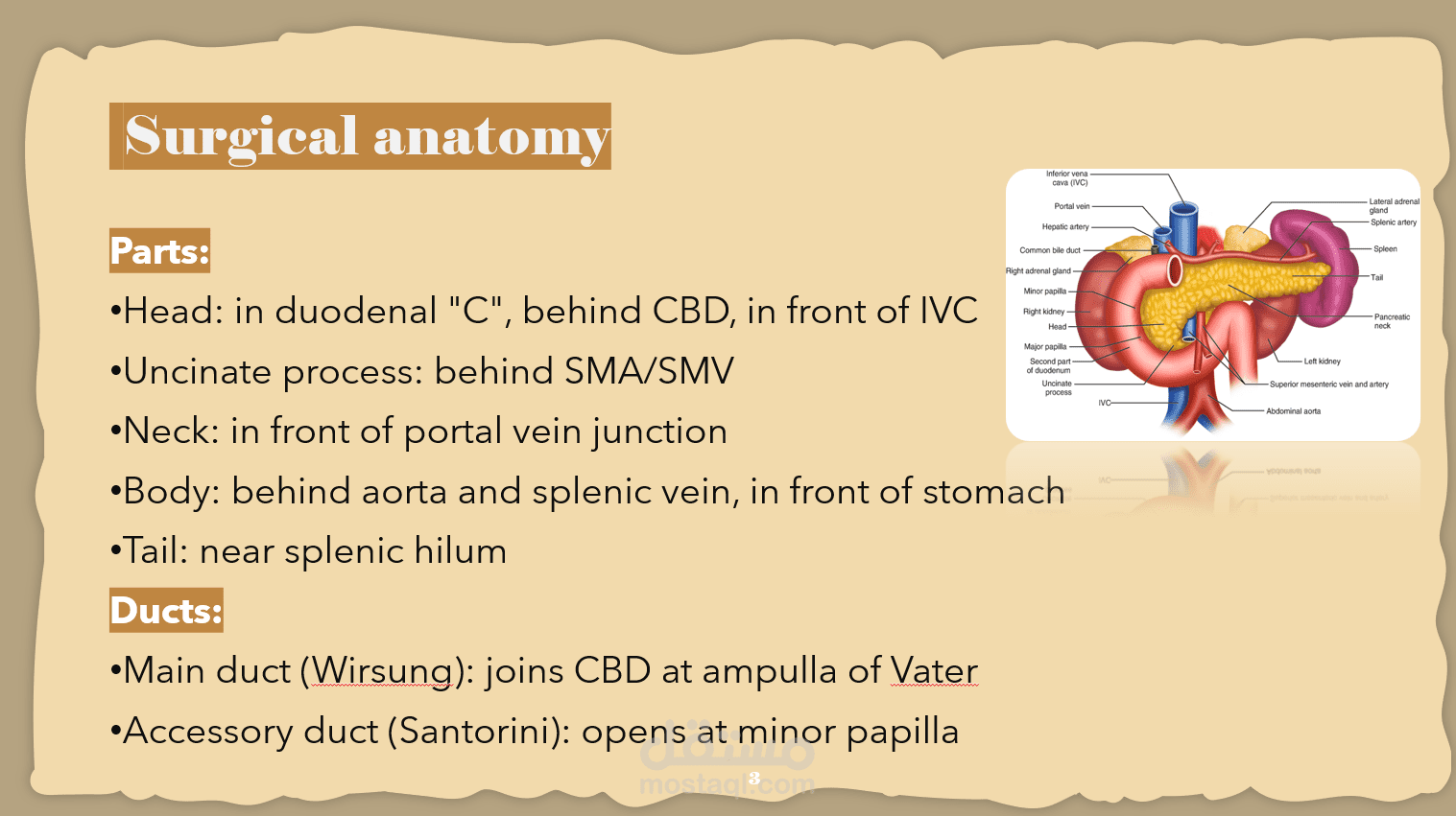 عرض تقديمي أكاديمي: دراسة شاملة لأمراض البنكرياس (Pancreatic Diseases)