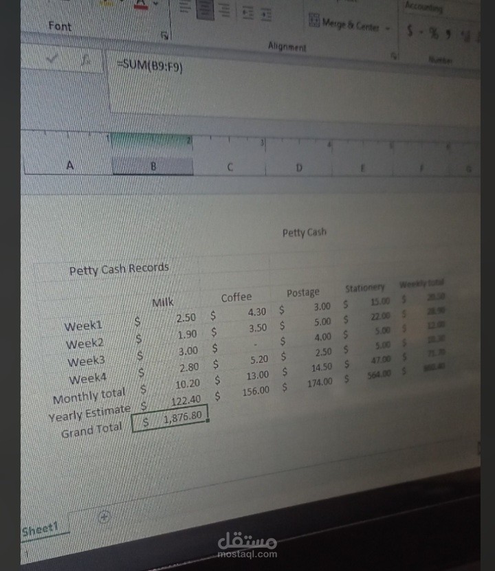 إعداد وتنظيم جدول بيانات مالي ومصاريف (Excel)
