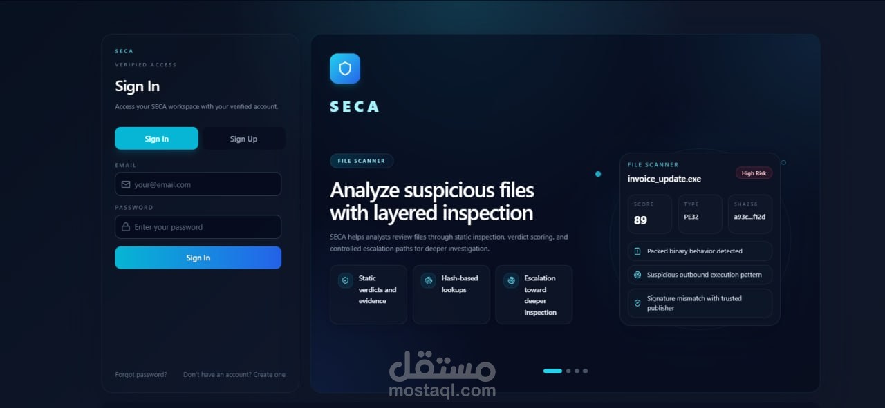 SECA (Security Analyzer)