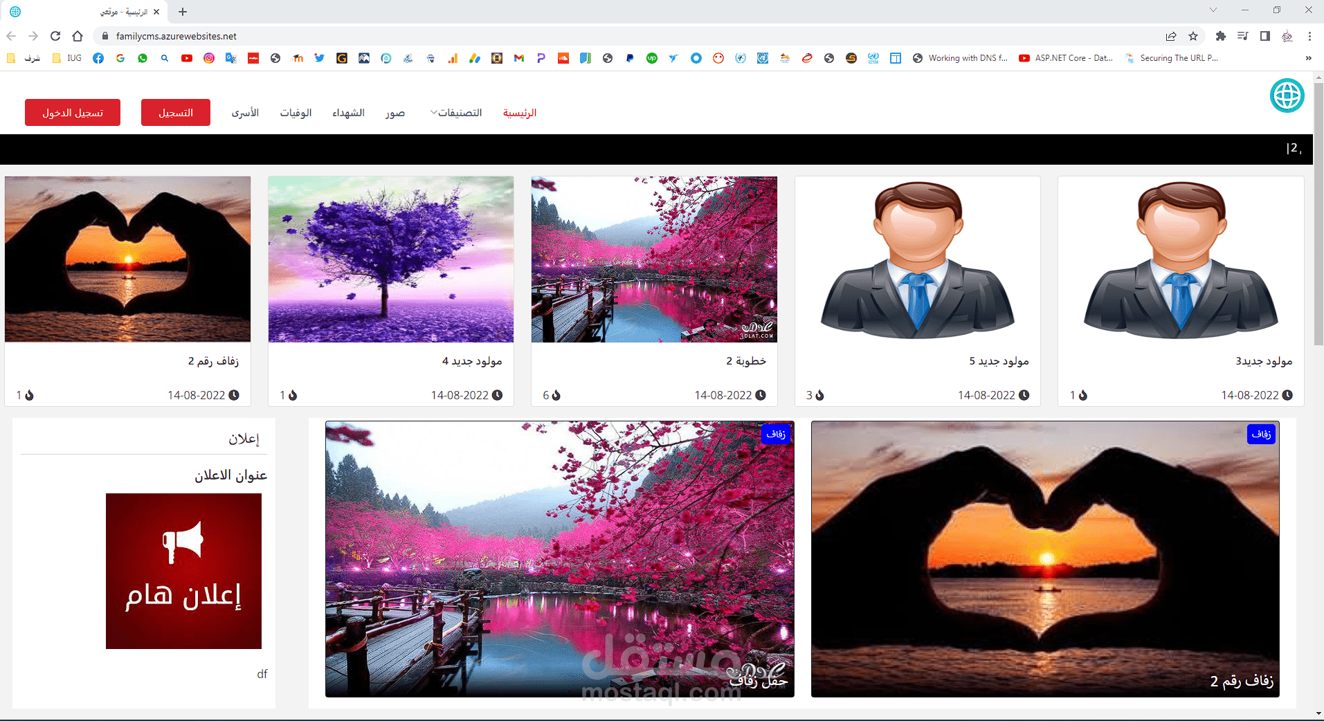 CMS with Asp.net MVC Core