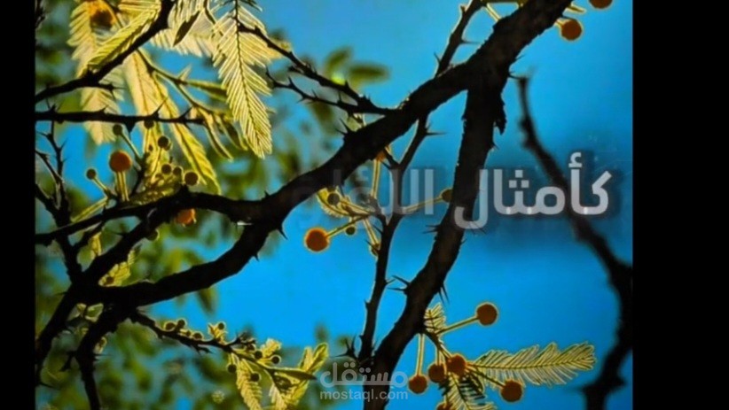 نموذج هندسة صوتية و أداء صوتي احترافي
