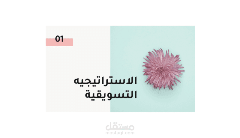 استراتيجيه تسويقية