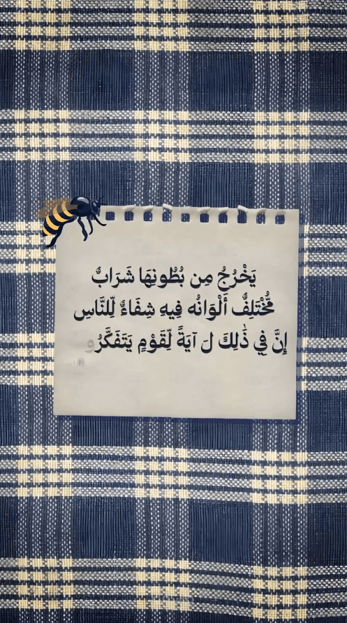 مونتاج فيديو قصير عن النحل مع مؤثرات بصرية وموشن جرافيك