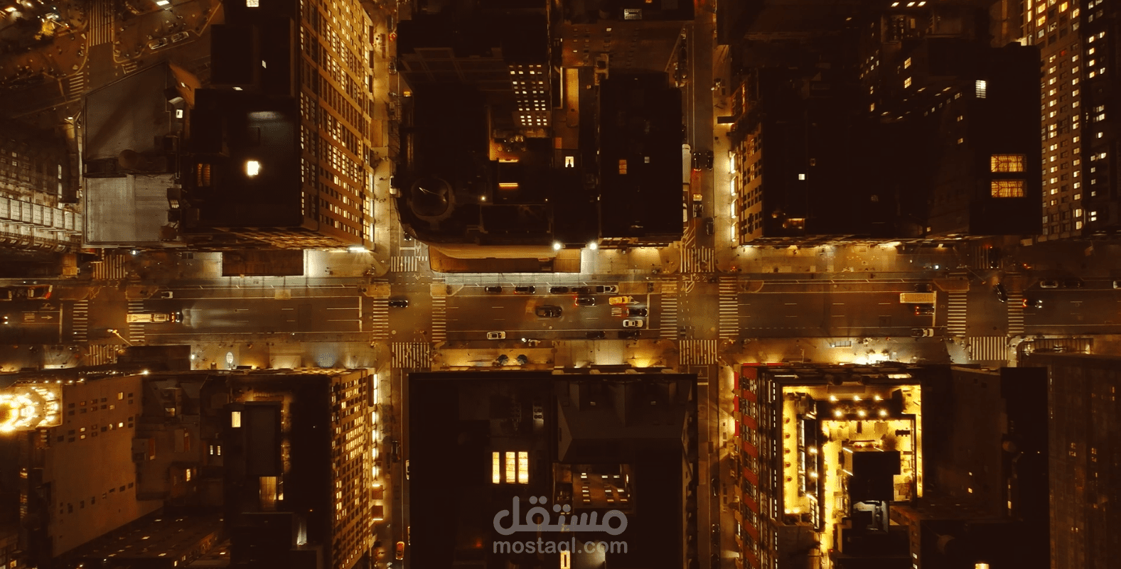 برومو سينمائي لعلامة روبيرتو كافالي