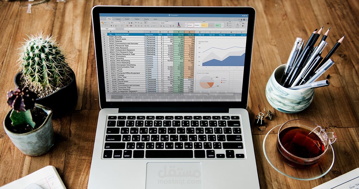 Excel_Professional_Portfolio