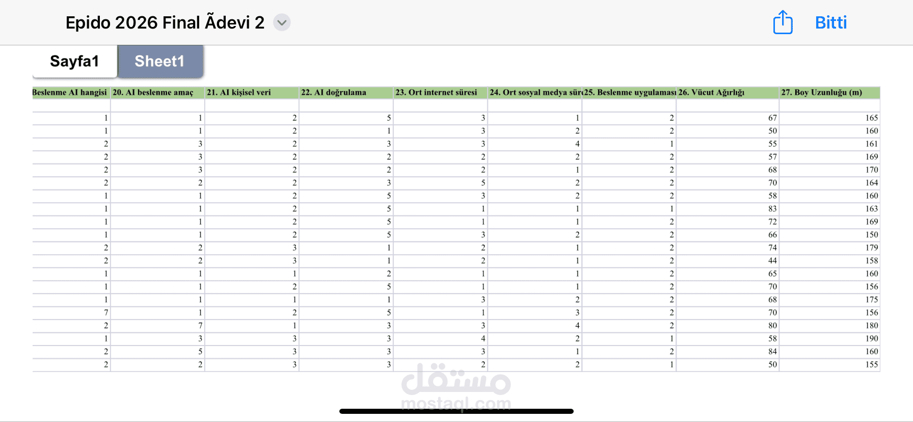 تفريغ وترميز بيانات استبيان (Anket) حول الذكاء الاصطناعي على برنامج SPSS