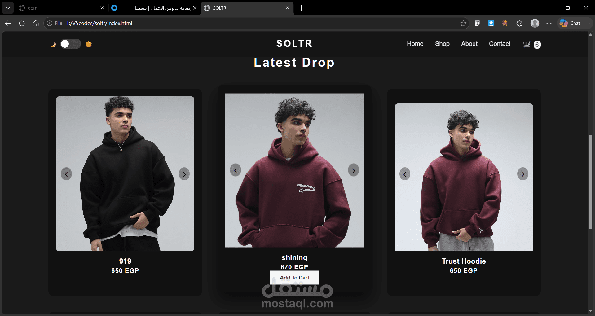 Soltr Website 1