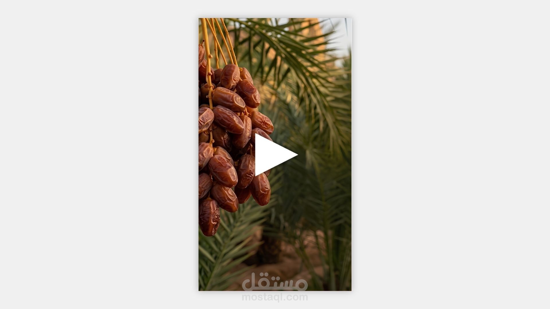 إعلان سينمائي هادئ