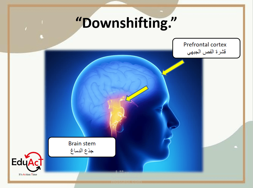 التعلم القائم على الدماغ (Brain-Based Learning)
